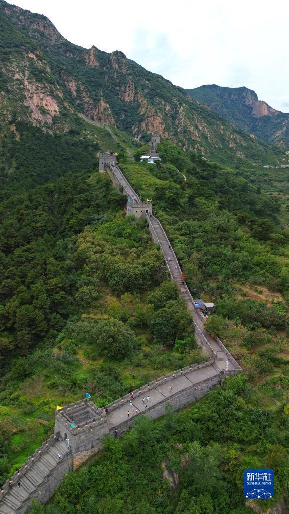 旧版澳门盘口